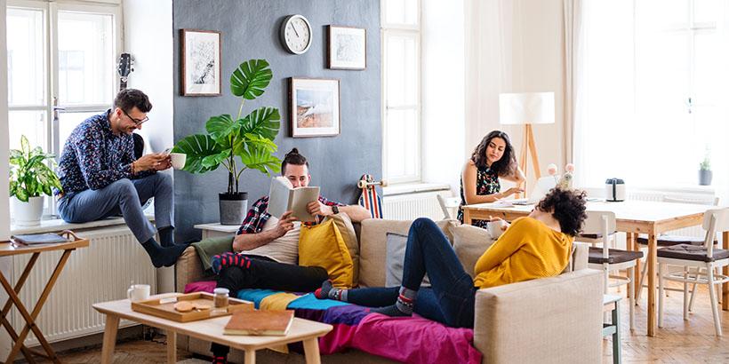 Shared Apartment